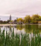 Csónakázó-tó, Pétfürdő