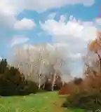 Arborétum, Petőháza