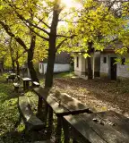 Piliscsévi Pincefalu, Piliscsév