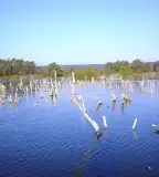 Pölöskei-tó, Pölöske