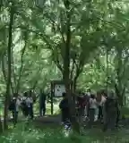 Nyéki-Holt-Duna tanösvény, Pörböly