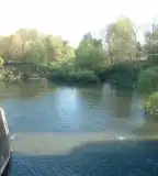 Pinka Patak, Pornóapáti