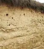 Gyurgyalag fészlekőhely, Porva