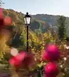 A püspöki kastély arborétuma, Hosszúhetény