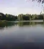 Pusztaszentlászlói Horgásztó, Pusztaszentlászló