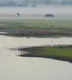 Pusztaszeri Tájvédelmi Körzet, Pusztaszer