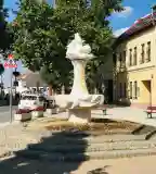 János Vitéz-díszkút, Ráckeve