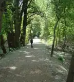 Tisza-parti Tanösvény, Rákóczifalva