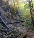 Körtúra Rám-szakadék - Lukács-árok, Dömös