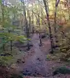 Rám-szakadék, Dömös