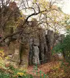 Bazaltorgonák tanösvény, Raposka