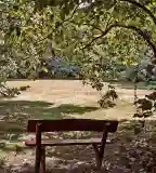 Arborétum, Sárvár