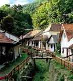 Zsólyomkai pincesor, Sátoraljaújhely