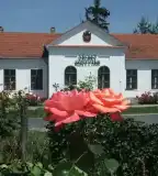 Vécsey-kastély, Solt