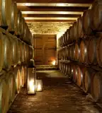 Frittmann Borház, Soltvadkert