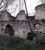 Ciszterci Papírmalom rom, Sóly