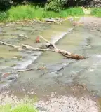 Kisbukó gát, Sonkád