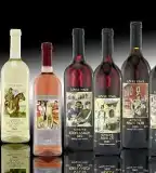 Lővér Pince, Sopron