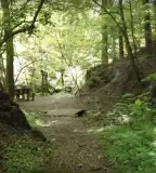 Tolvaj-árok Természetismereti Tanösvény, Sopron