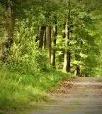 Várisi sétaút tanösvény, Sopron