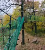 Súri Lombkorona-sétány, Súr