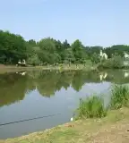 Surdi Park-tó, Surd