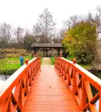 Cifrakert, Szabadbattyán