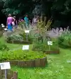 Anna-ligeti tanösvény, Szarvas