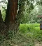 Halásztelki tanösvény, Szarvas