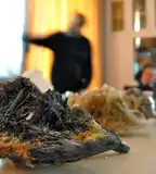 Koch Sándor Ásványgyűjtemény, Szeged