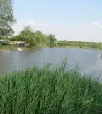 Müller horgásztó, Szeged