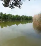 Sziksós-tó, Szeged