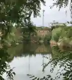 Bánya-tó, Székesfehérvár