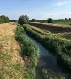 Gaja-patak, Székesfehérvár