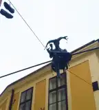 Mujkó, Székesfehérvár