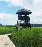 Sóstói tanösvény, Székesfehérvár