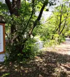 Bükkös-patak tanösvény, Szentendre