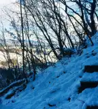 Tiszafás tanösvény, Szentgál