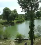 Patkó-tó, Szerecseny