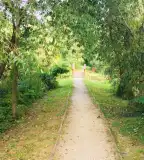 Tőzike tanösvény, Szigetbecse