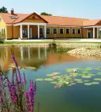 Gál Szőlőbirtok és Pincészet, Szigetcsép