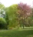 Szigligeti Arborétum, Szigliget