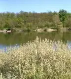 Szili kavicsbányató, Szil