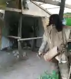 Archeopark, Szilvásvárad