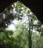 Istállós-kői barlang, Szilvásvárad