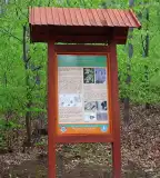 Millenniumi tanösvény, Szilvásvárad