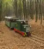 Bezina-völgyi Erdei Vasút, Szob