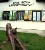 Hiúz Ház Erdei Iskola és Látogatóközpont, Szokolya