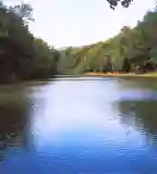 Királyréti horgásztó, Szokolya