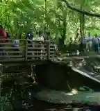 Királyréti tanösvény, Szokolya